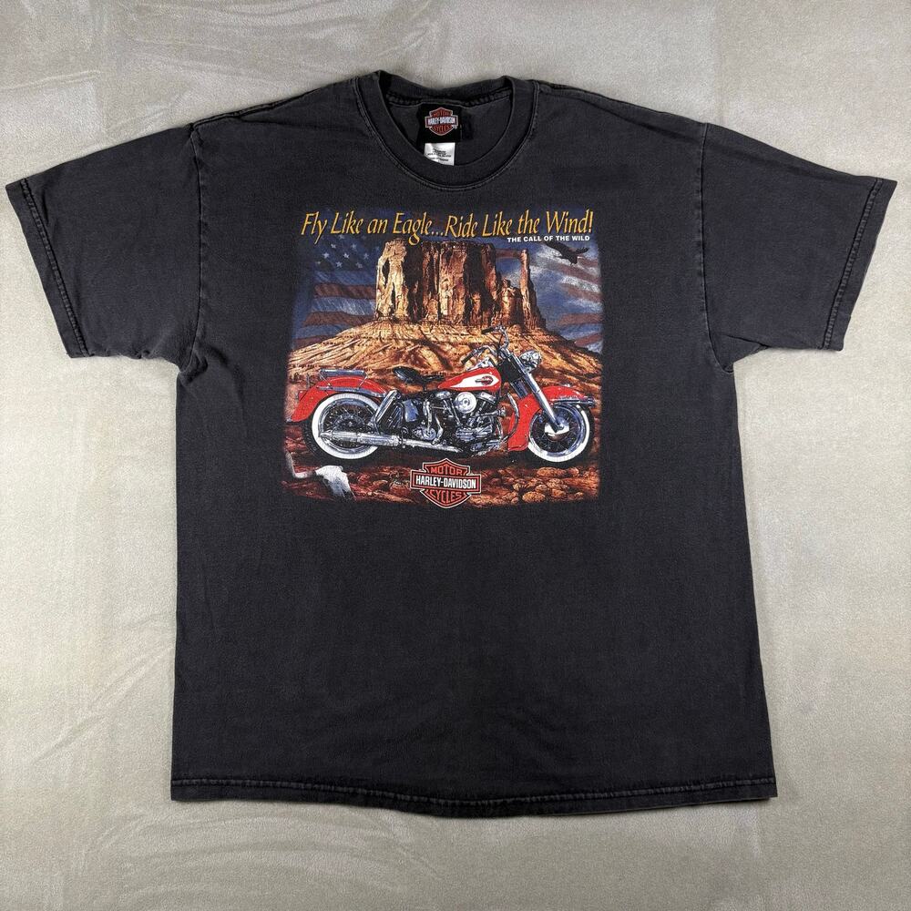 Vintage Harley Davidson Crystal River Florida Eagle Motorcycle T Shirt L USA